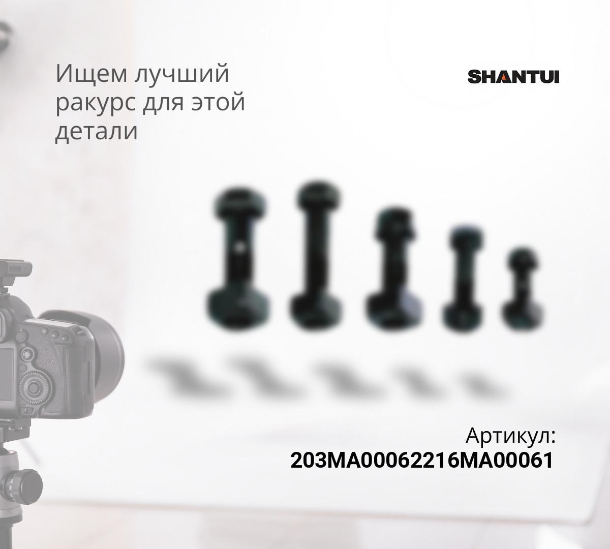 Болт+гайка башмака SD16